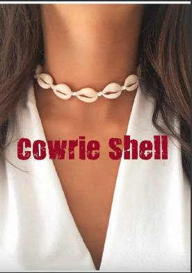 Tropical Cowries Shell Collection